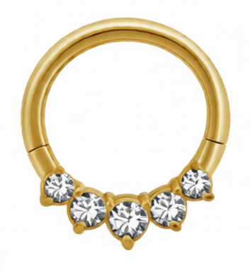 GD 316 HINGED RING SET W. ZIRCONIA (FRONT FACING)