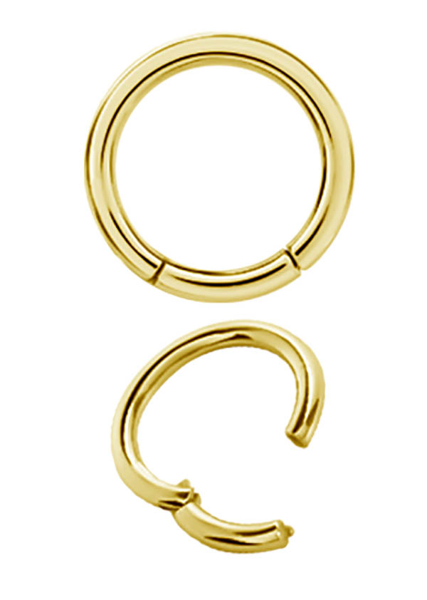 GD 316 CLICK SEGMENT RING