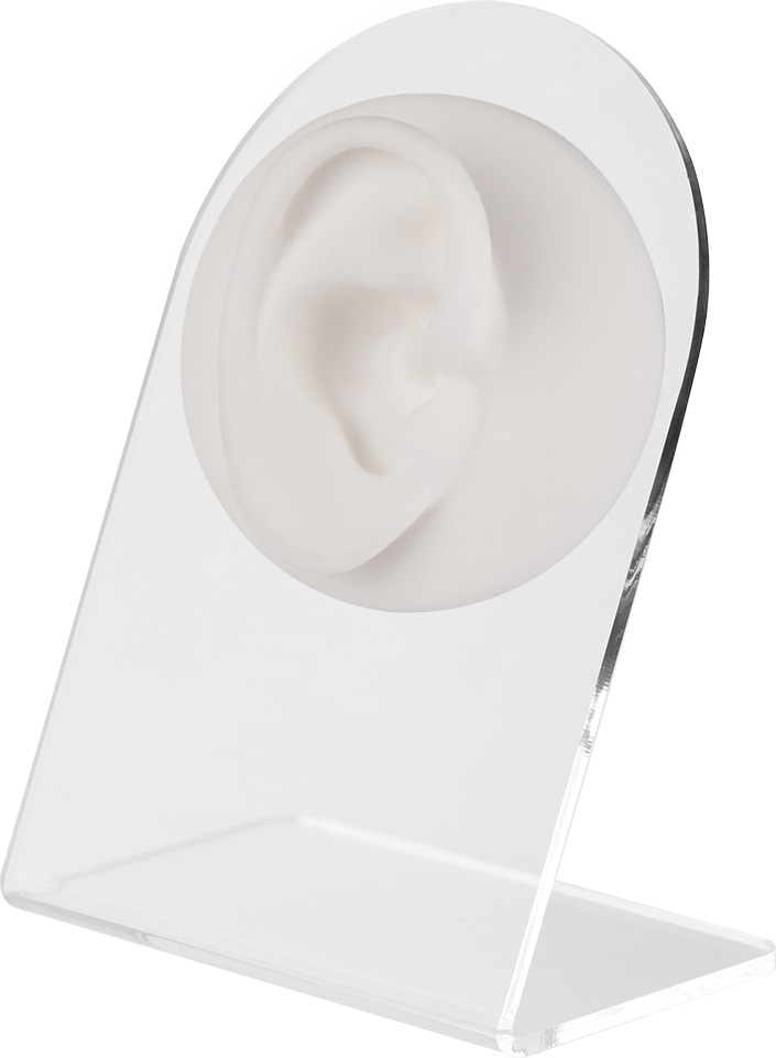 WHITE ANATOMIC DISPLAY EAR-R