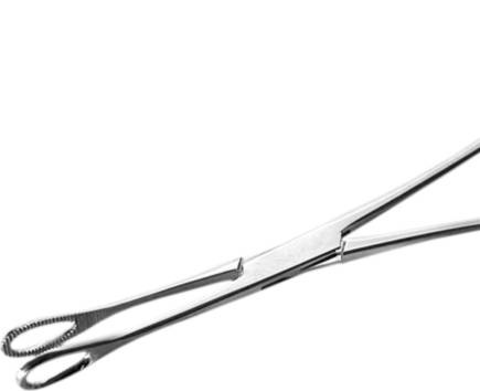 PINZA OVALE