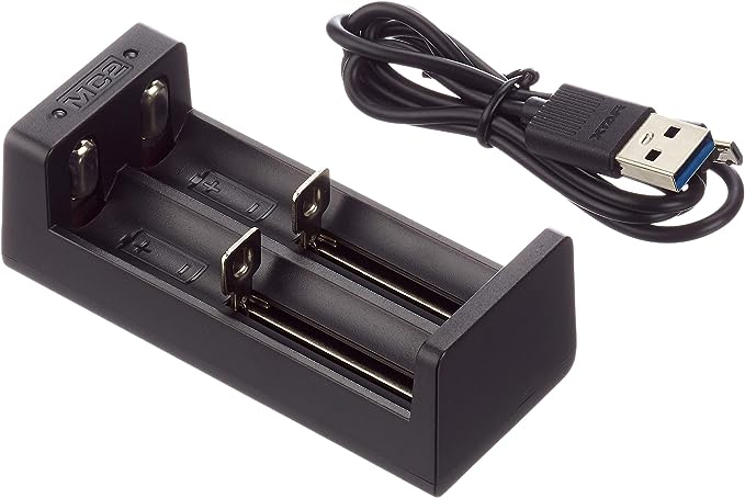 Caricabatterie XTAR MC2