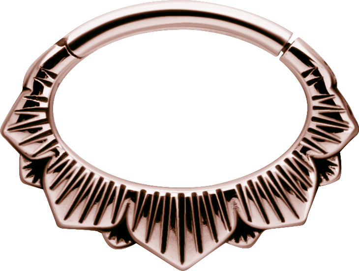 RG 316 HINGED SEPTUM & DAITH CLICKERS 1,2x6mm mod.7